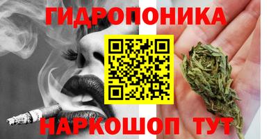 бошки Моздок