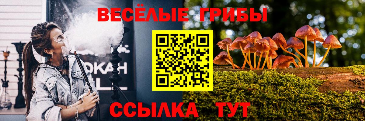 Вязьма  Псилоцибиновые грибы Psilocybine cubensis  Вход с VPN 