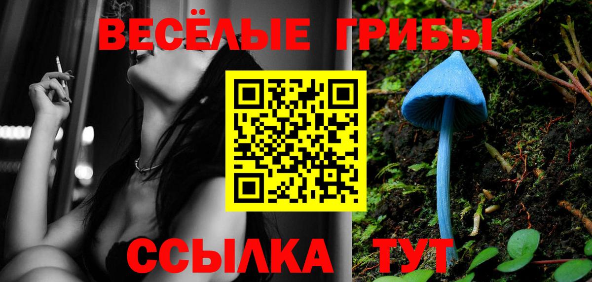 Галлюциногенные грибы прущие грибы Вязьма